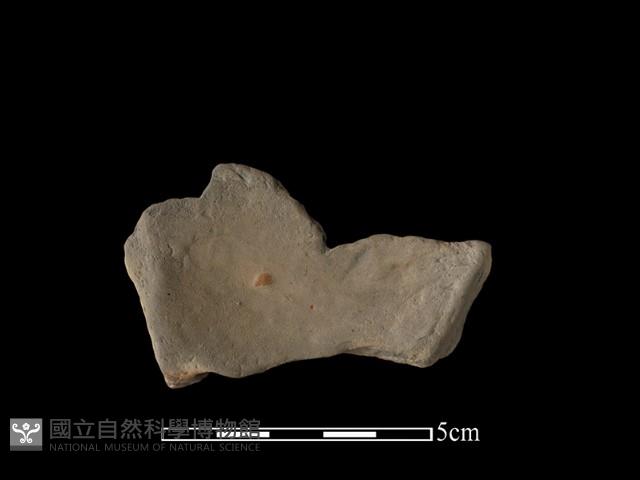 連杯形器藏品圖，第1張