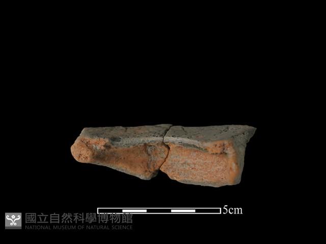 豆形器藏品圖，第2張