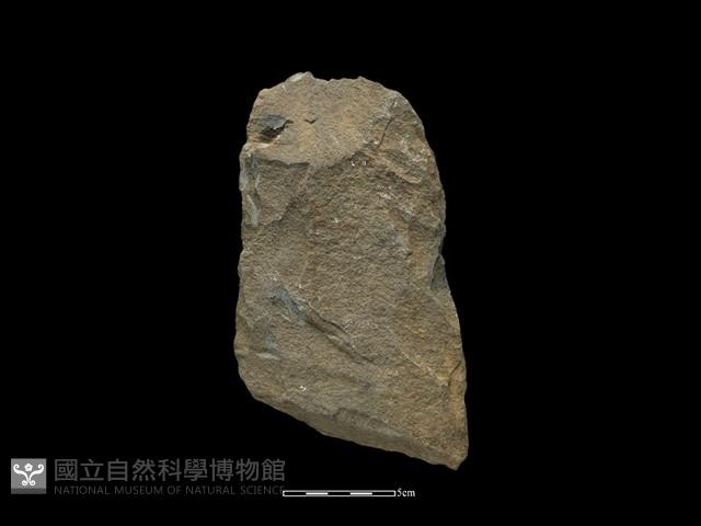 斧鋤形器藏品圖，第2張