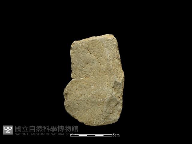 斧鋤形器藏品圖，第1張