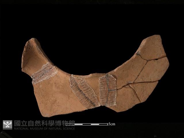 連杯形器藏品圖，第1張