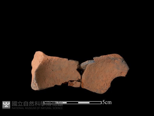 連杯形器藏品圖，第1張