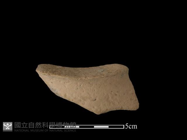 豆形器藏品圖，第1張