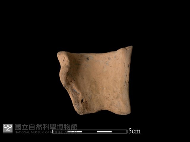 豆形器藏品圖，第1張