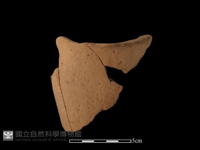 連杯形器藏品圖，第1張