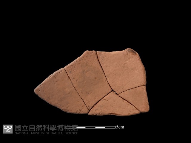 陶片藏品圖，第2張