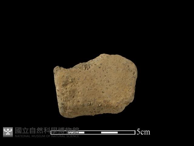 陶片藏品圖，第1張