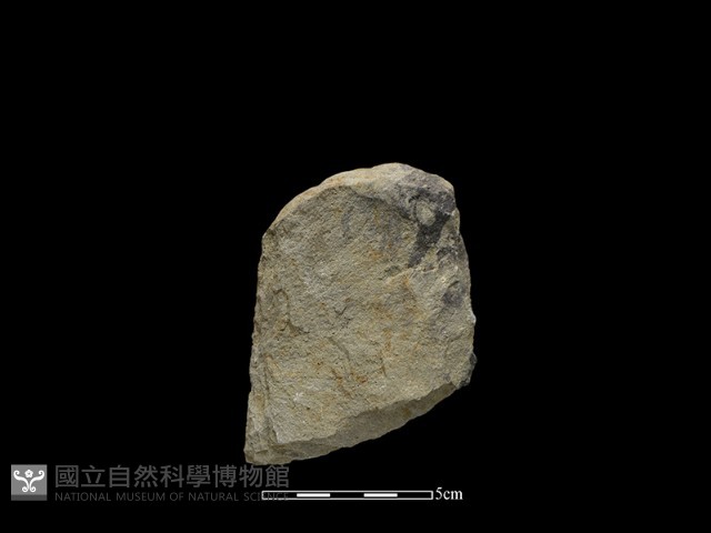 斧鋤形器藏品圖，第2張