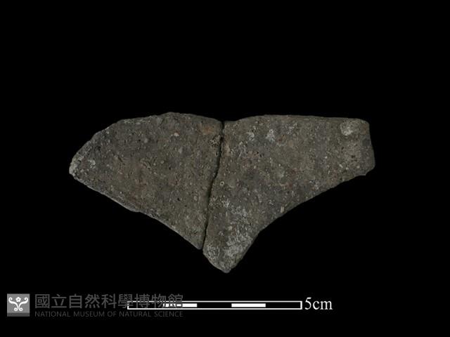 陶片藏品圖，第2張