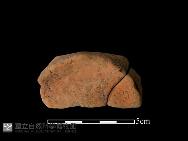 豆形器藏品圖，第1張