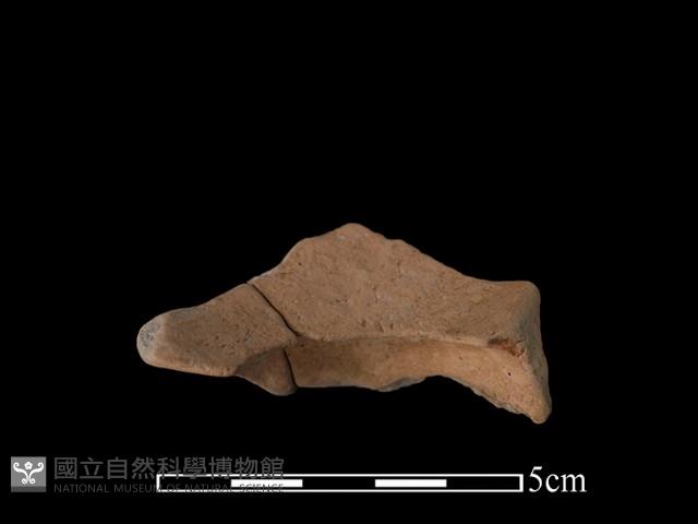 豆形器藏品圖，第2張