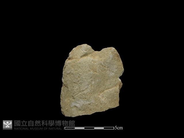 Accession Number:CTT-2014-183 Collection Image, Figure 1, Total 2 Figures