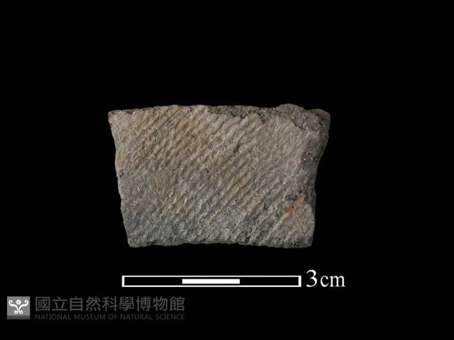 陶片藏品圖，第1張