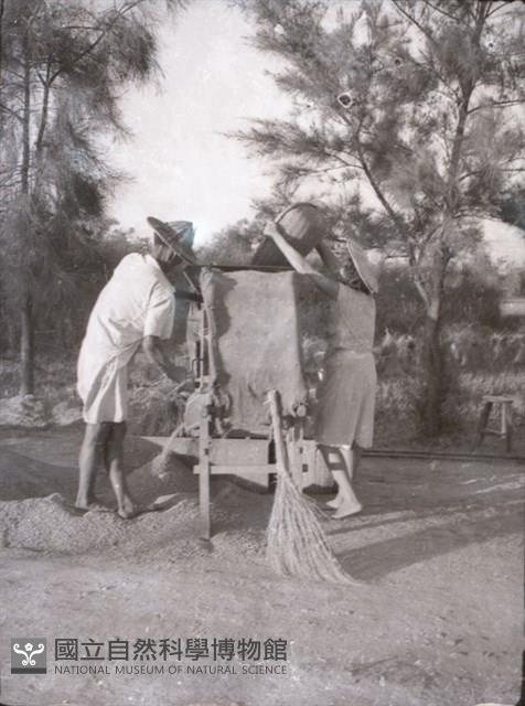 1950至2006年臺灣常民生活藏品圖，第1張
