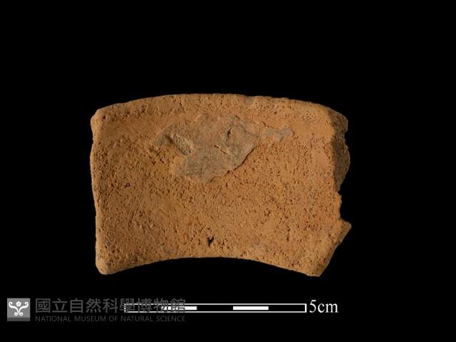 陶罐藏品圖，第2張