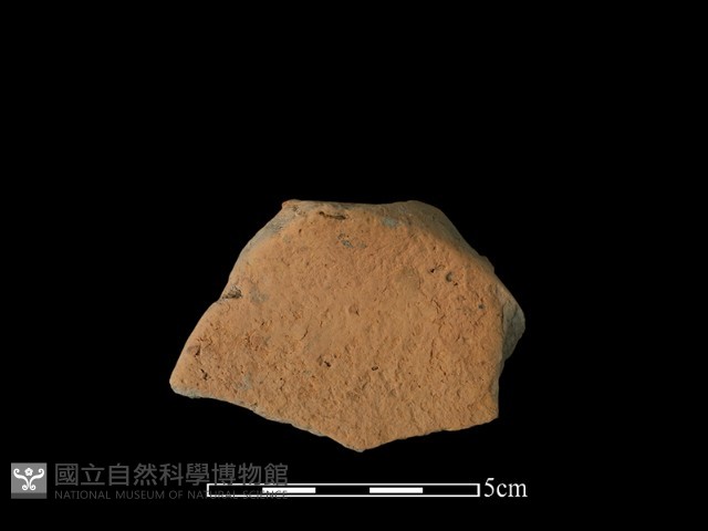 連杯形器藏品圖，第1張