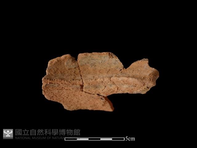 陶罐藏品圖，第2張