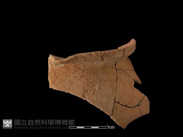 陶罐藏品圖，第2張