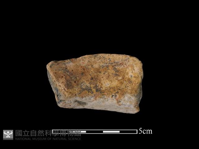 陶罐藏品圖，第2張