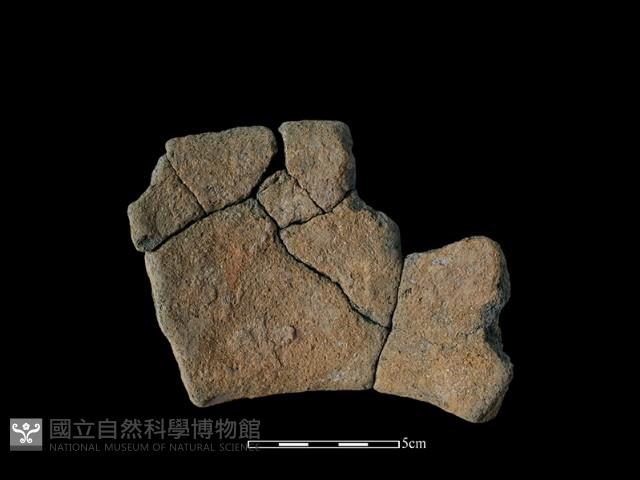 陶罐藏品圖，第2張