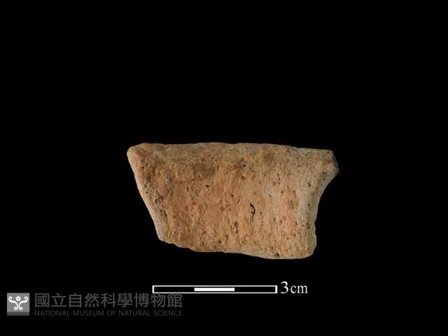 陶罐藏品圖，第2張