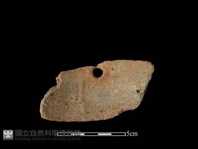 陶片藏品圖，第2張