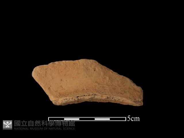 豆形器藏品圖，第1張