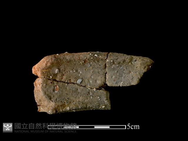 陶罐藏品圖，第1張