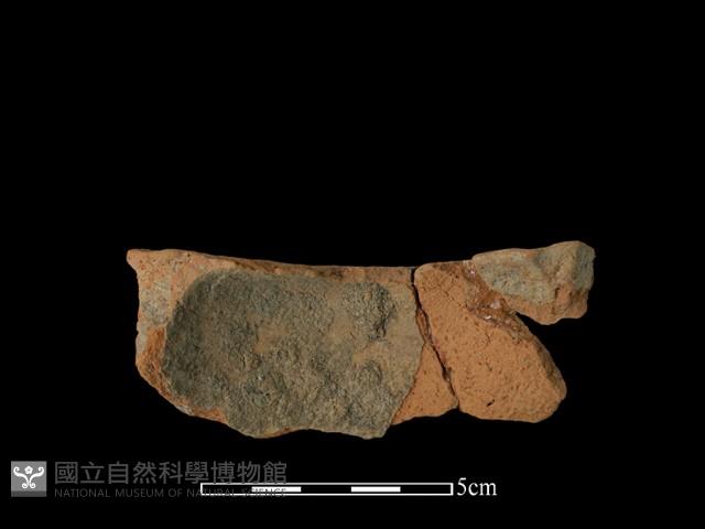 陶片藏品圖，第2張