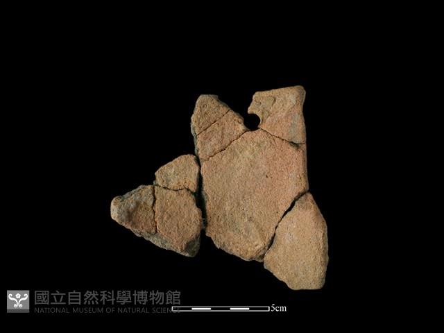 陶片藏品圖，第2張