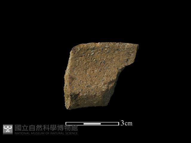 陶罐藏品圖，第1張