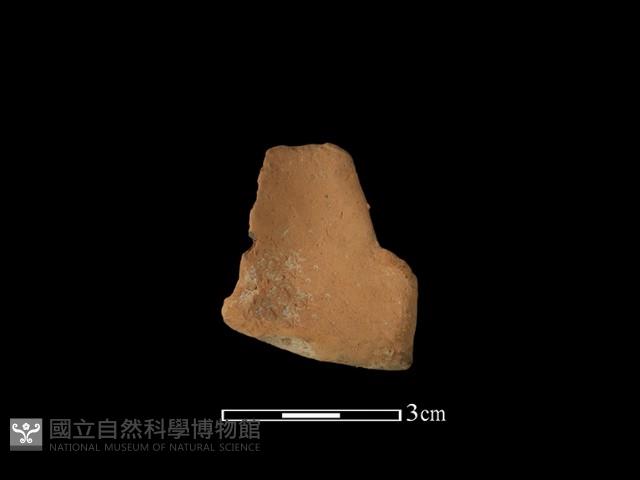 連杯形器藏品圖，第1張