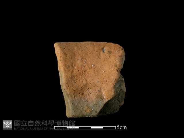 陶罐藏品圖，第2張