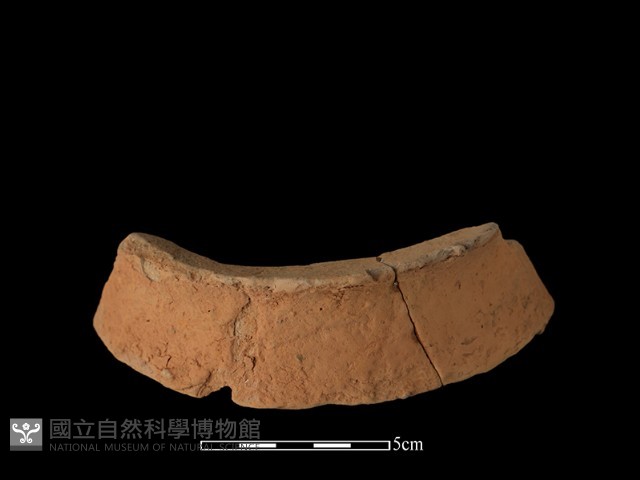 陶片藏品圖，第3張