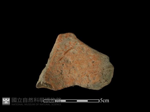 陶片藏品圖，第1張