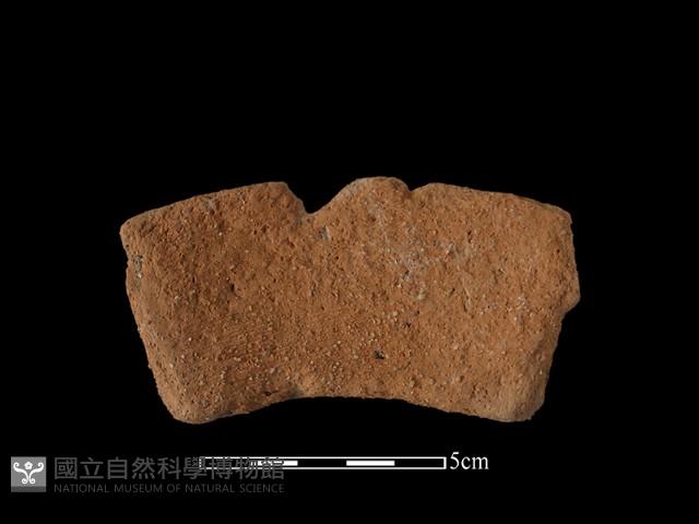 Accession Number:AHR336-2016-038 Collection Image, Figure 1, Total 2 Figures