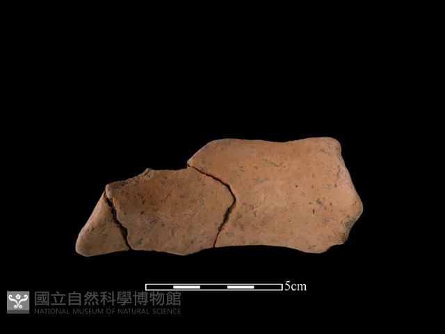 陶罐藏品圖，第1張