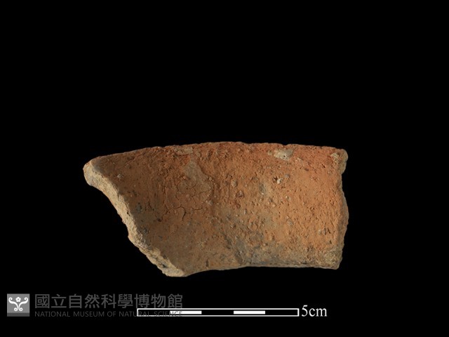 陶罐藏品圖，第2張