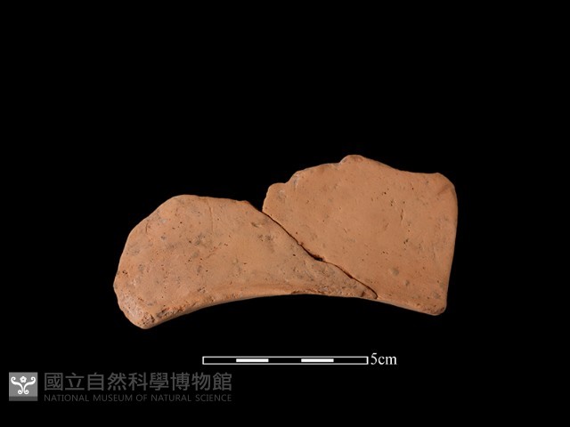 連杯形器藏品圖，第1張