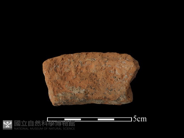 陶罐藏品圖，第2張