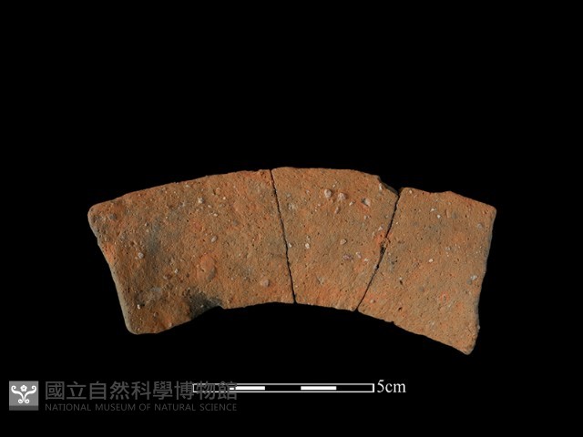 陶罐藏品圖，第1張