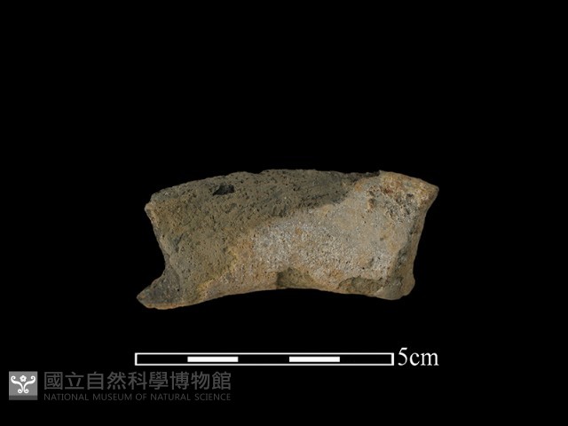 陶罐藏品圖，第1張