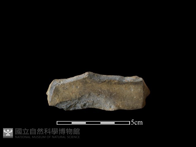 陶片藏品圖，第3張