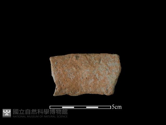 陶罐藏品圖，第1張