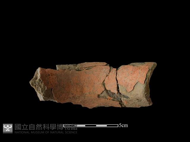 陶罐藏品圖，第1張