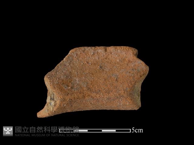 陶罐藏品圖，第2張