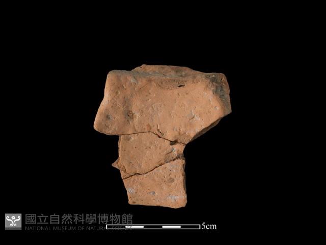 陶片藏品圖，第1張