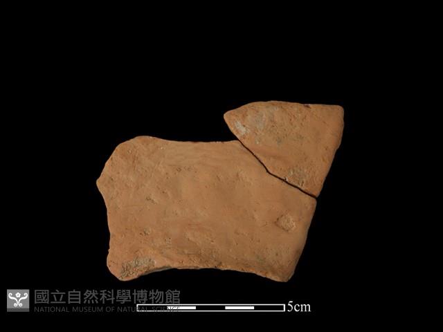 連杯形器藏品圖，第1張