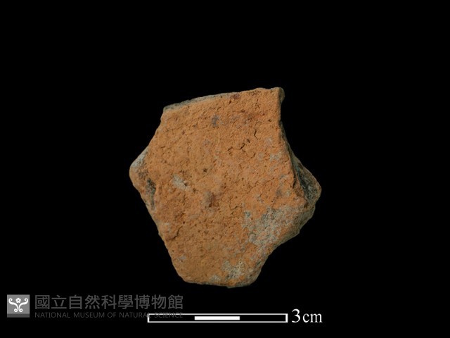 陶片藏品圖，第2張