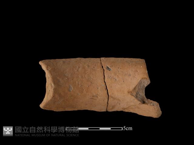 陶罐藏品圖，第2張